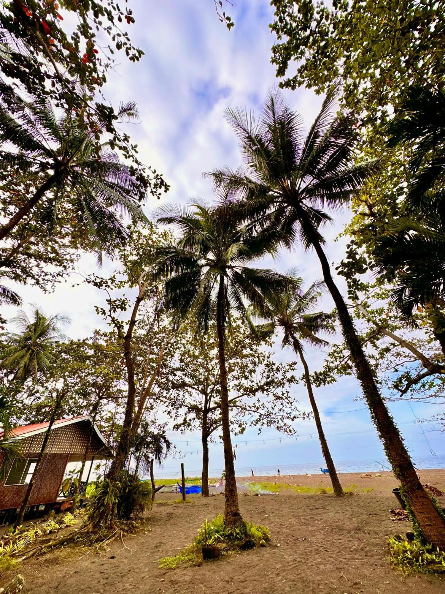 Playa Del Fuego Camiguin Beach Hostel & Resort 맘바자오 외부 사진