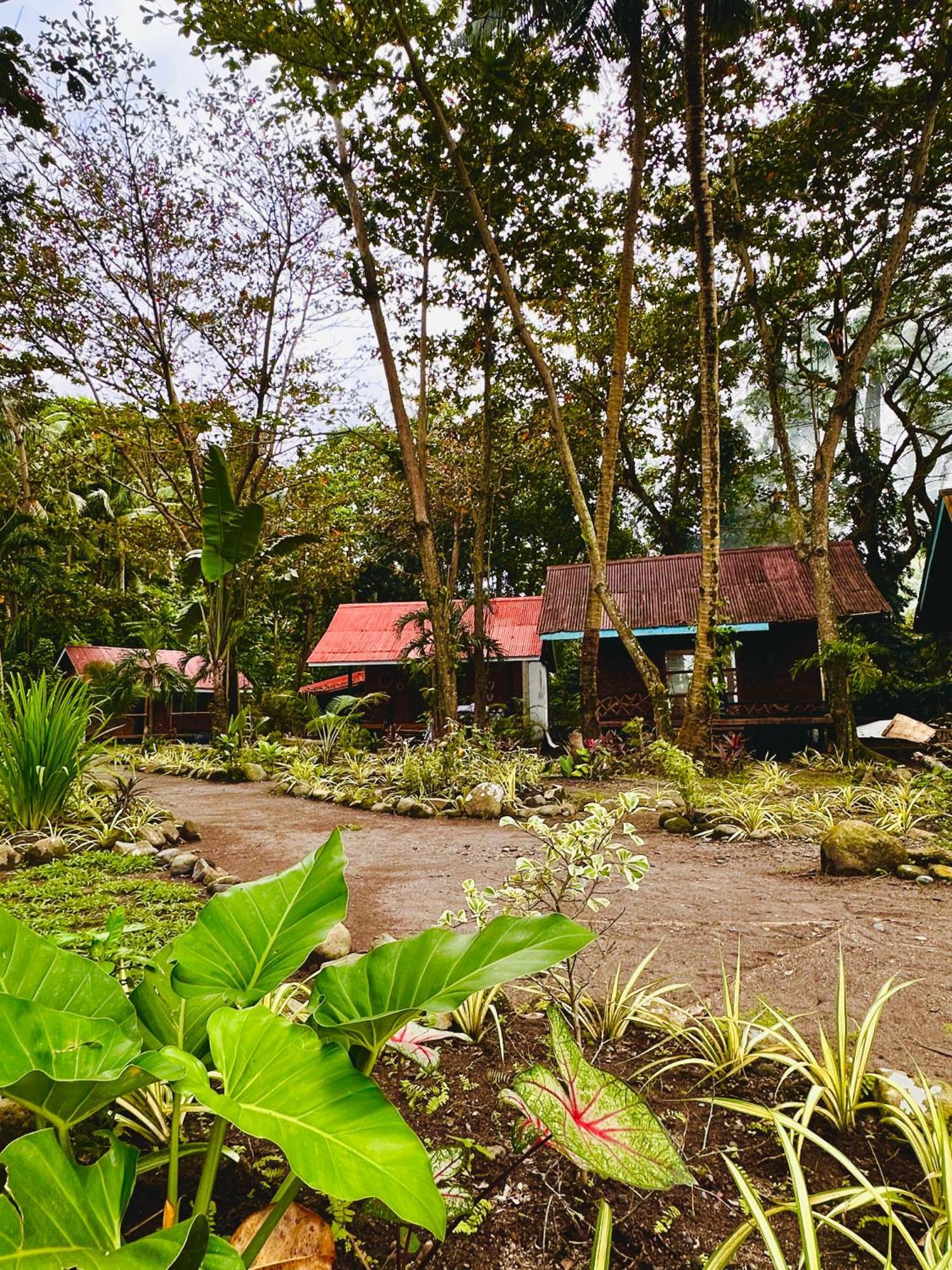 Playa Del Fuego Camiguin Beach Hostel & Resort 맘바자오 외부 사진