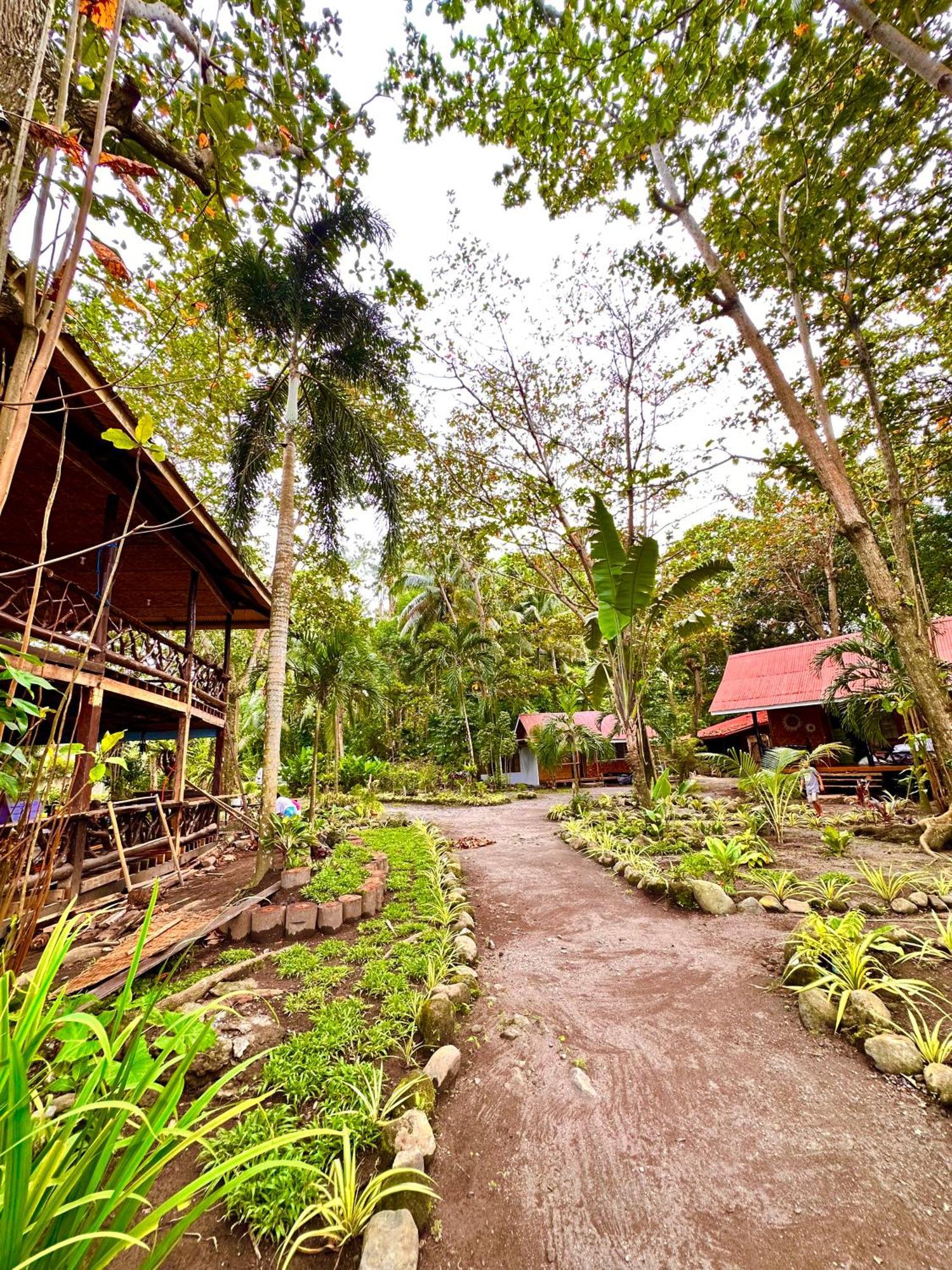 Playa Del Fuego Camiguin Beach Hostel & Resort 맘바자오 외부 사진