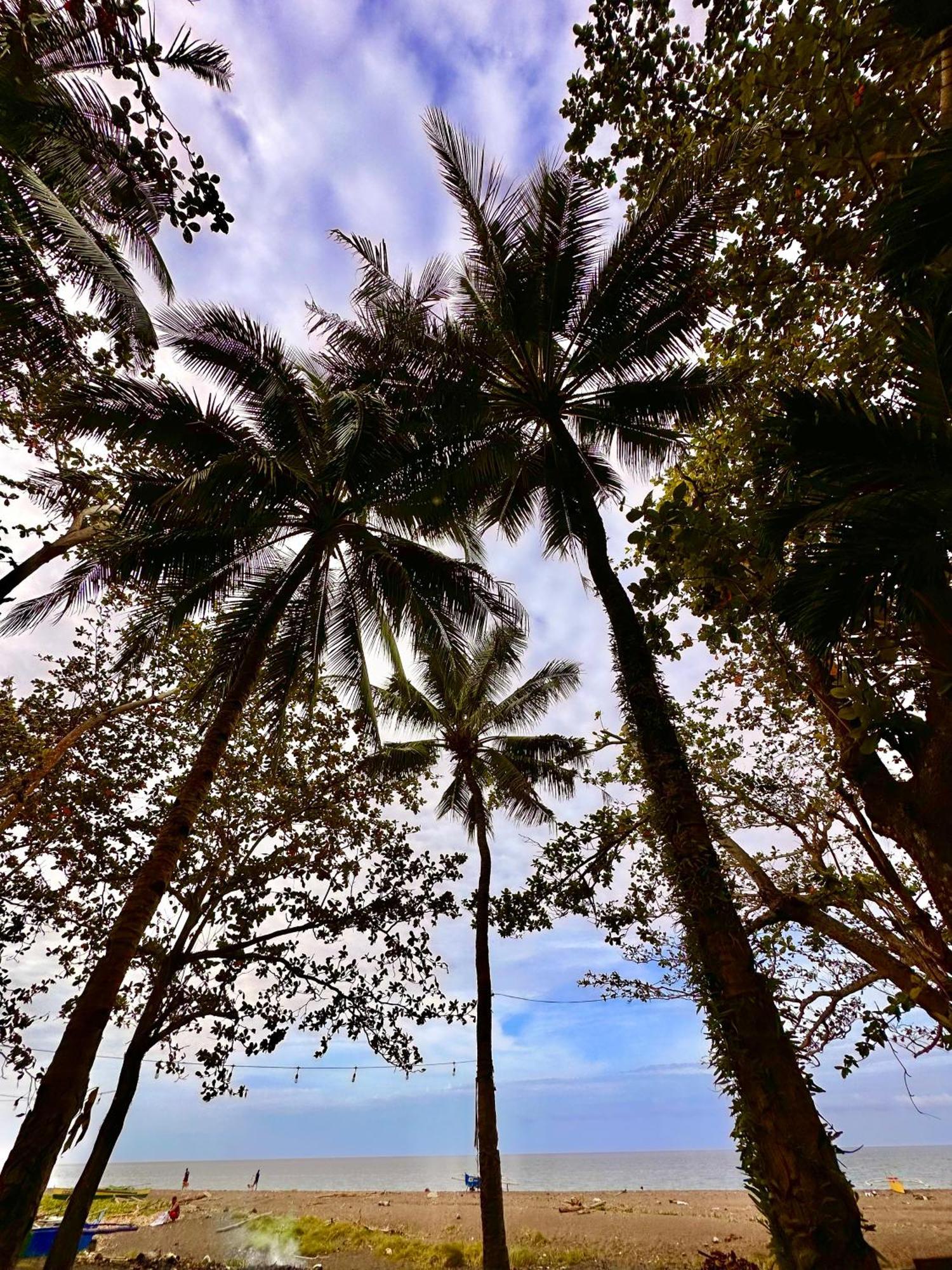 Playa Del Fuego Camiguin Beach Hostel & Resort 맘바자오 외부 사진